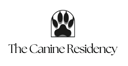 Capture d’écran 2025-11-19 à 13.30.59-Photoroom